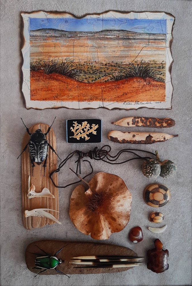 Retha Buitendach - Curiosity Cabinet 8